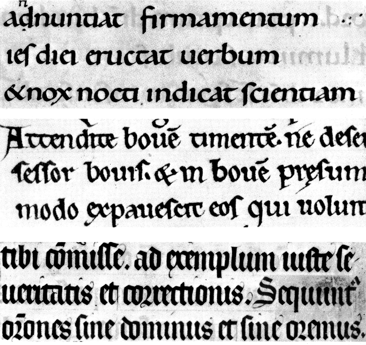 The slow transition from Carolingian to Gothic script.